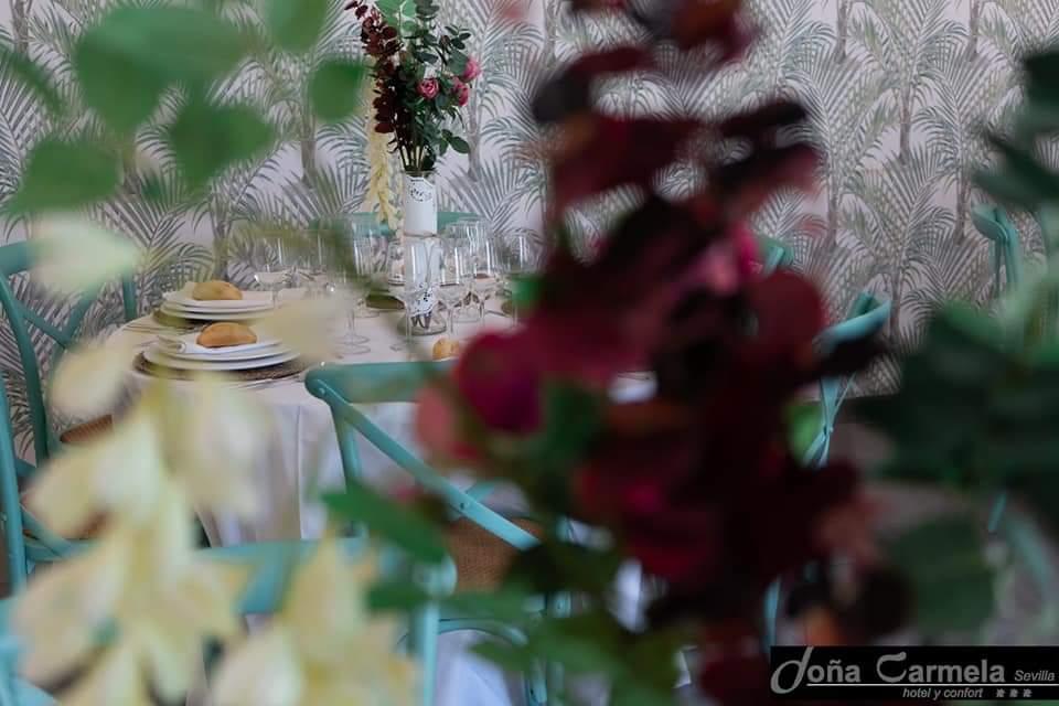Sercotel Doña Carmela